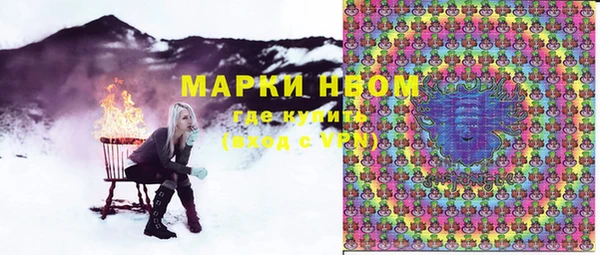 молекула духа Алексеевка