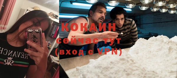 кокс Алексин
