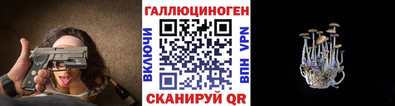 ОМГ ОМГ tor  закладки  Енисейск  Галлюциногенные грибы Psilocybine cubensis 